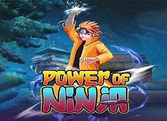 Power of ninja