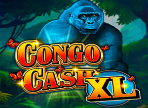 Congo Cash XL